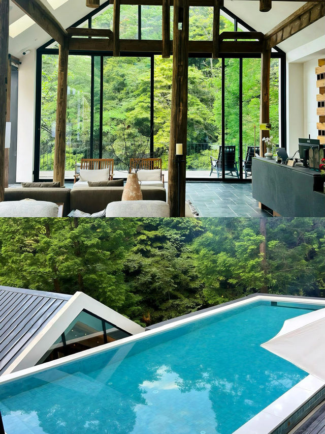 青城山周圍密林中的漫畫小屋