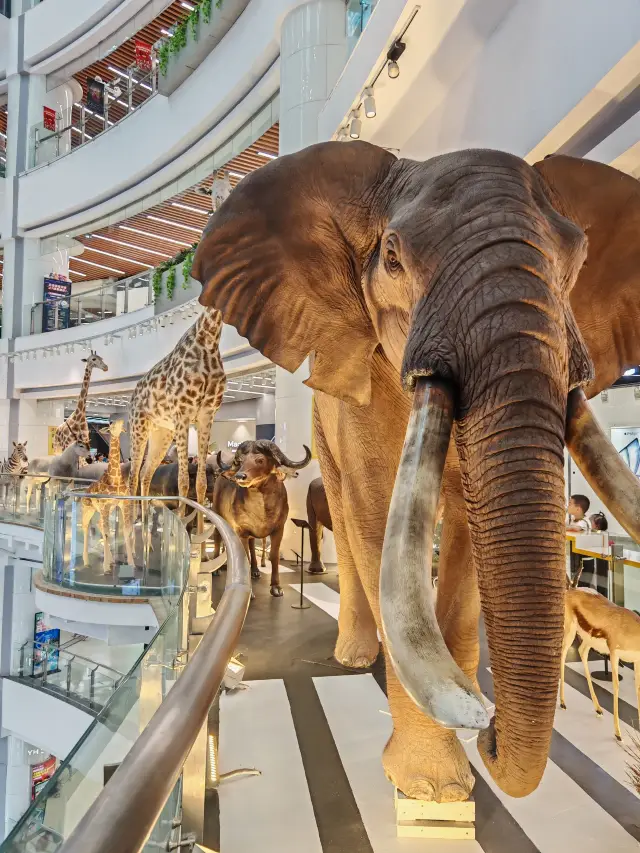 Guangdong 14-Day Essential Route Tour