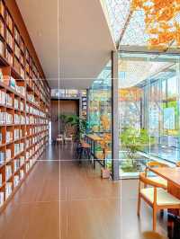 江西萬安銀杏古村