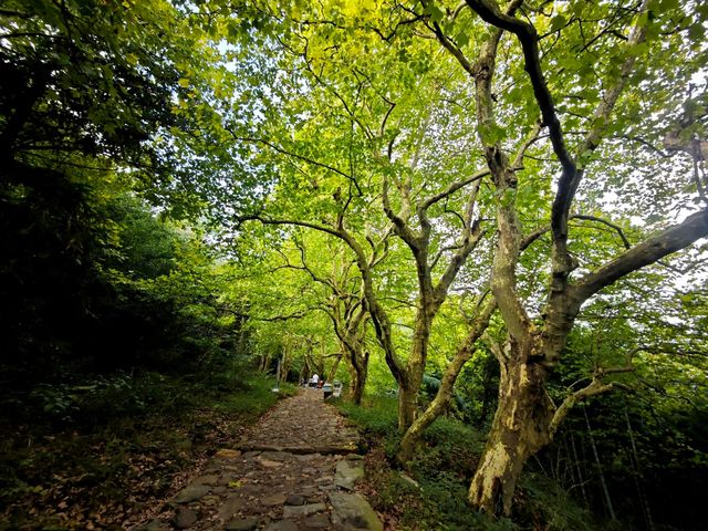 廬山，這座被譽為「人文聖山」的避暑勝地，正靜靜等待你的到來。讓人完全沉浸於它的詩意與清涼。 行程安