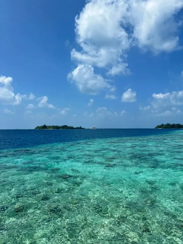 小預算去馬代，選莉莉島！別的offer不香了