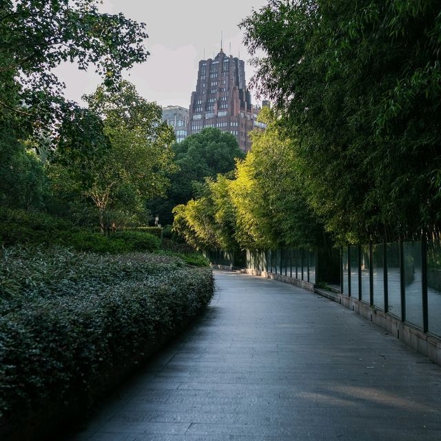 🌳 Shanghai Parks: Green Escapes in the Urban Jungle