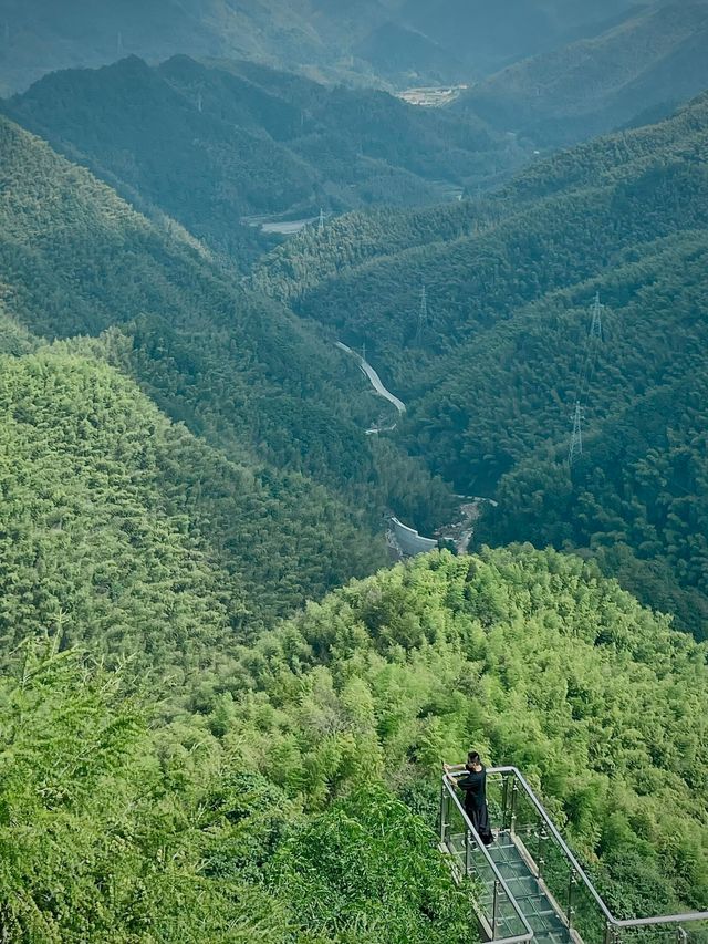 上海自駕2.5h！四明山吸氧遛娃攻略打工人週末甩開班味