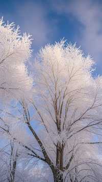 遇見最夢幻的冰雪奇緣！