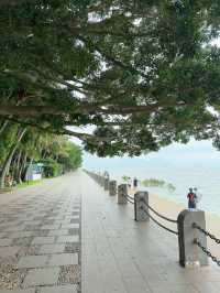深圳灣必打卡絕美海景