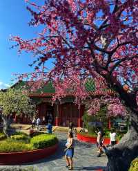 皇家園林穿越記珠海圓明新園1:1復刻京城盛世！ 必去理由 江南水鄉mix皇家氣派！橫店級古風