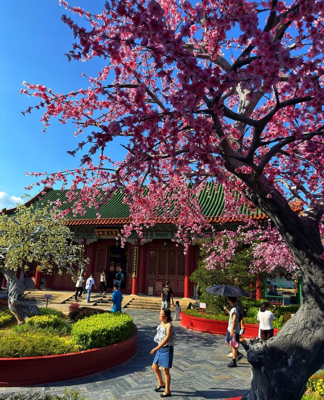 皇家園林穿越記珠海圓明新園1:1復刻京城盛世！ 必去理由 江南水鄉mix皇家氣派！橫店級古風