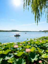 周口3日遊 | 太昊陵與關帝廟經典組合・全人群適配攻略