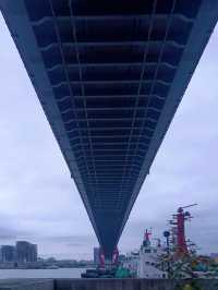 東岸濱江·從這裡開始｜楊浦大橋濱江綠地
