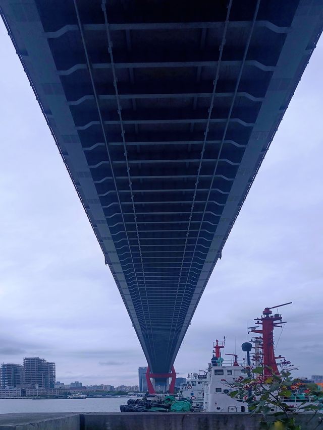 東岸濱江·從這裡開始｜楊浦大橋濱江綠地