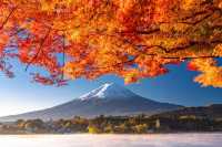2025年日本紅葉季時間預測！