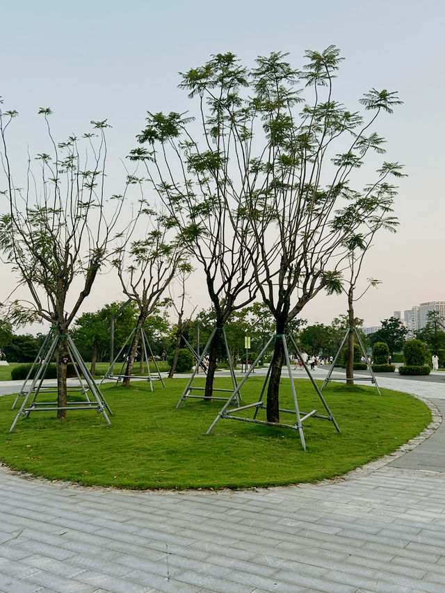 🌇 深圳人才公園｜城市天際線下的綠洲