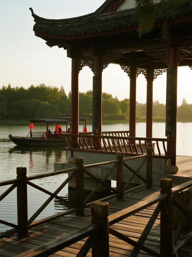 淄博週末遛娃！免費荷塘+蘆葦蕩太治癒啦～🪷