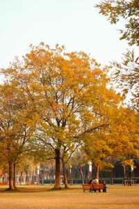 洛陽秋天所有的顏色都藏在隋唐植物園裡