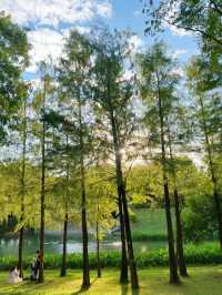 地鐵直達｜深圳小眾野餐露營公園