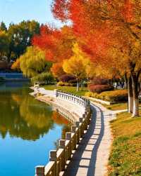 打卡唐風秋韻|邂逅城市邊的詩意與溫柔|收穫滿滿的治癒與快樂