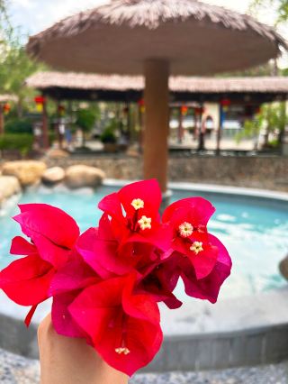 Hot Spring Pool Secret Guide