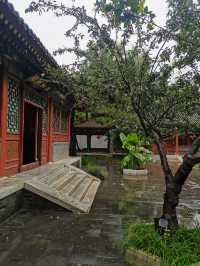 雨潤大觀.翠影浮光