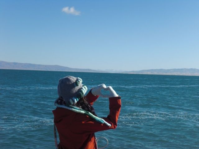 西寧一日遊|穿越日月山、青海湖與茶卡鹽湖的高原奇遇 西寧一日遊|穿越日月山、青海湖與茶卡鹽湖的高原奇遇