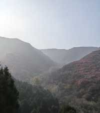 濟南賞秋之紅葉谷