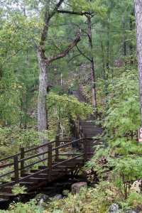 幸運地摸到了花栗鼠，毛茸茸的