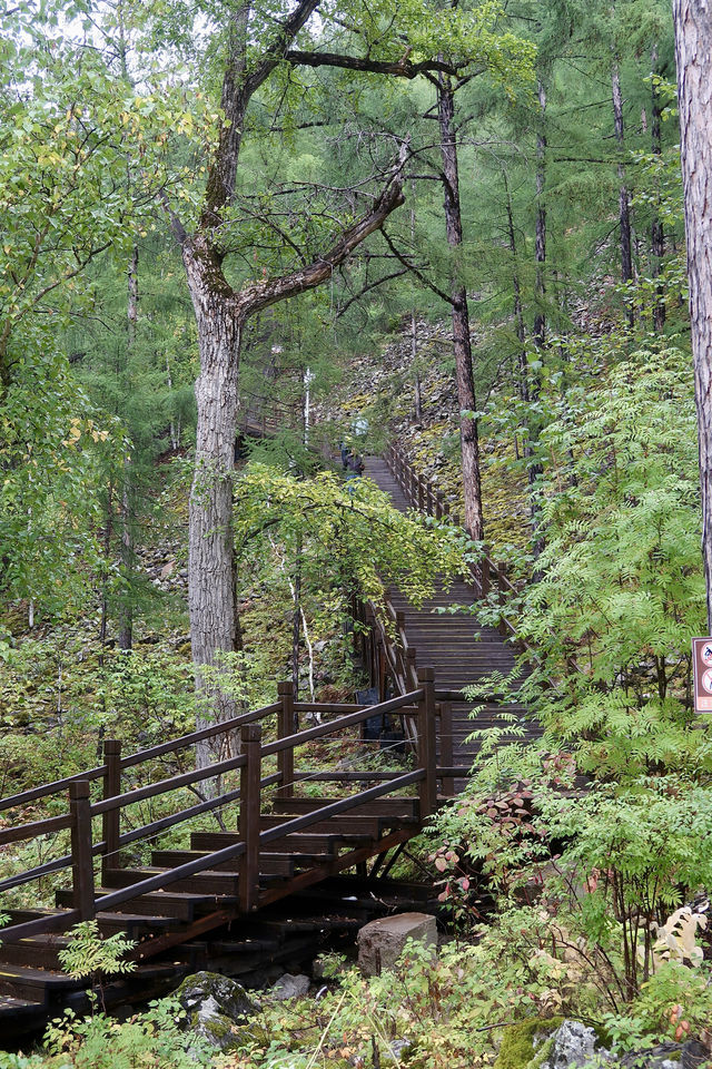 幸運地摸到了花栗鼠，毛茸茸的