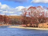 深秋阿爾山騎馬逐浪邂逅大興安嶺最美秋天