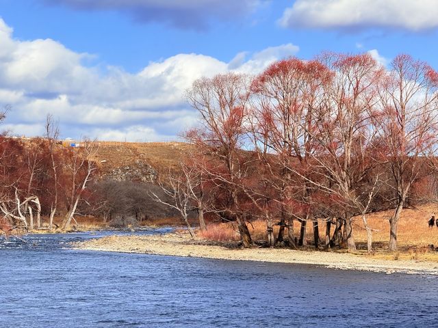 深秋阿爾山騎馬逐浪邂逅大興安嶺最美秋天