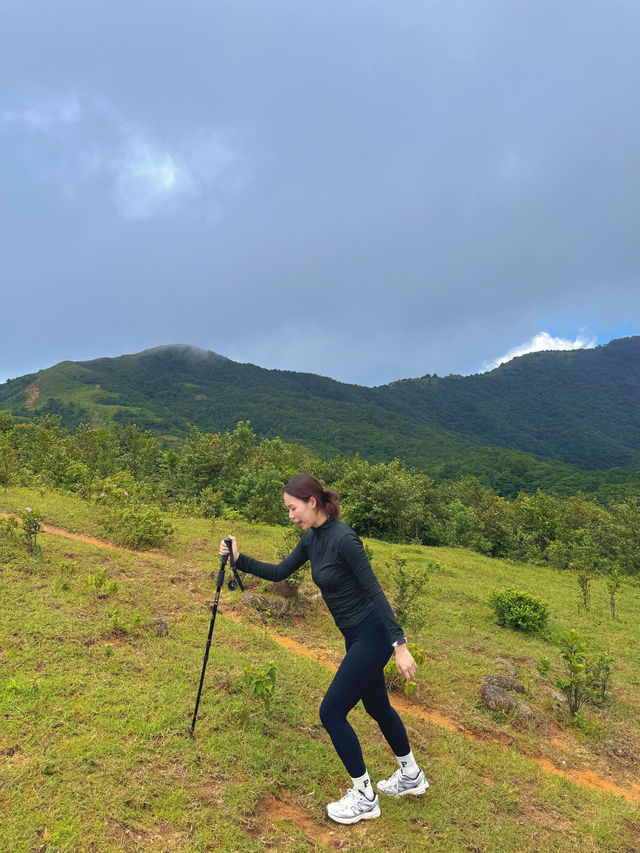不必遠赴新疆！廣東八排山藏著“小阿勒泰”