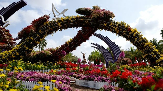 湛江,藏著一片會發光的海!這份保姆級攻略請收好! 湛江,藏著一片會發光的海!這份保姆級攻略請收好!