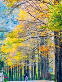 皖南2日封神！涇縣藏著李白偏愛的水墨仙境