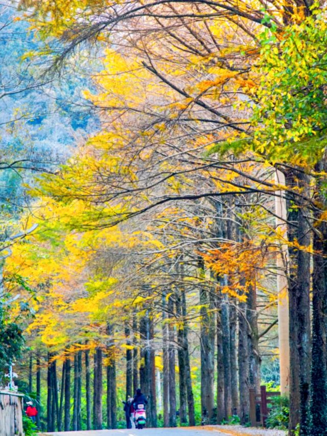 皖南2日封神！涇縣藏著李白偏愛的水墨仙境