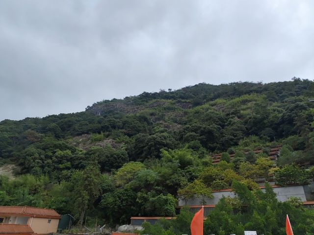 福清石竹山|陰雨天也能拍出仙氣!徒步吸氧攻略 煙雨朦朧才是真絕色!被雨水洗過的石竹山美得像水墨 福清石竹山|陰雨天也能拍出仙氣!徒步吸氧攻略 煙雨朦朧才是真絕色!被雨水洗過的石竹山美得像水墨