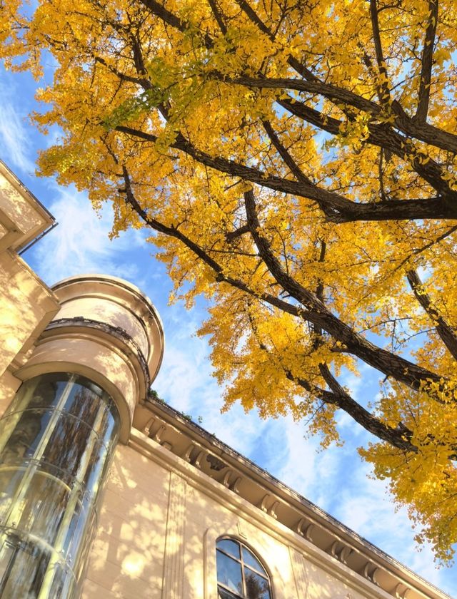 莫干山的秋！藏在古道裡的彩色秘境