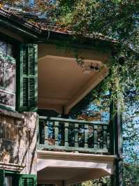 親測更新｜莫干山賞楓私藏路線