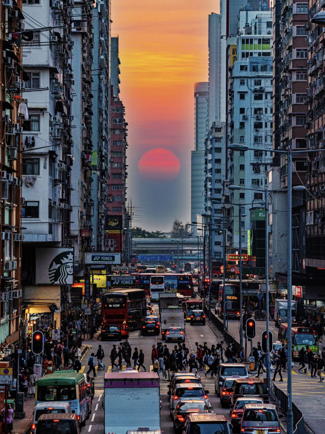 香港電車慢時光指南