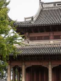 鹽官古城現場吃瓜乾隆是陳閣老的兒子！