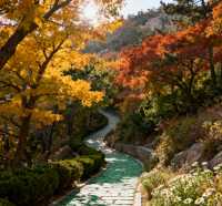 秋日的劉公島，是歷史與浪漫的碰撞。這份攻略帶你玩轉不一樣