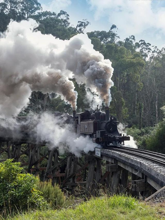 墨爾本｜蒸汽火車與企鵝歸巢-14人團旅行