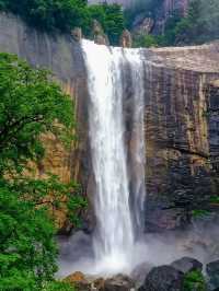 洛陽1日包車遊攻略快碼住