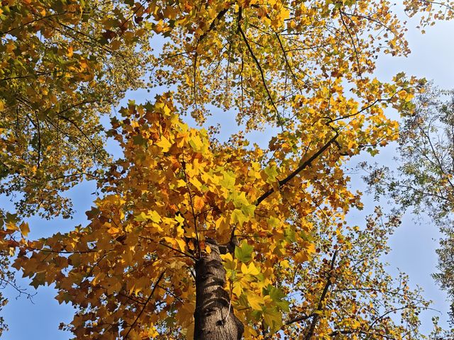 高效打卡經典路線，親測不踩雷！