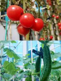 復古海派風混搭現代設計，連大堂都像小型上海灘博物館