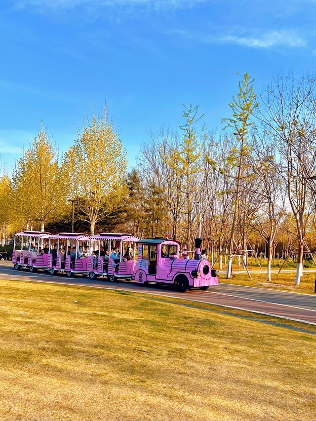 鄭州親子遊天花板!蝶湖公園秋日童話攻略 鄭州親子遊天花板!蝶湖公園秋日童話攻略