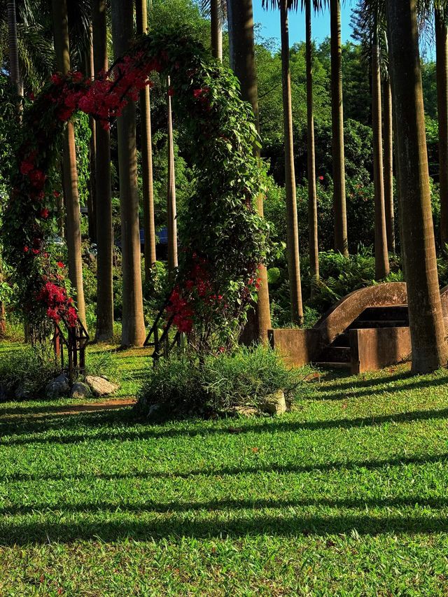 廣州4號線藏了一座「魔幻莊園」闖進末日科幻片 人少景美! 廣州4號線藏了一座「魔幻莊園」闖進末日科幻片 人少景美!