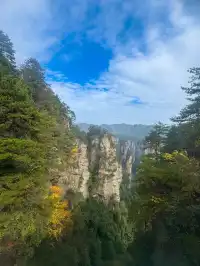 成都自駕出發,5天4夜!張家界親子遊全攻略