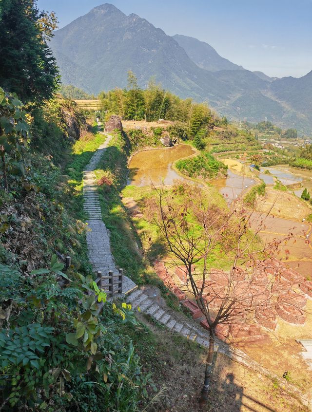雲和梯田 雲和梯田