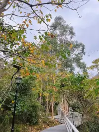 泉州好去處14/100｜新建空中步道路線