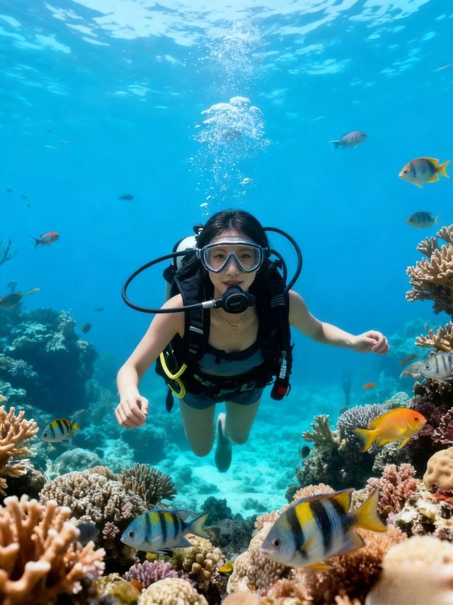 去仙本那免簽也要注意的事情。 去仙本那免簽也要注意的事情。