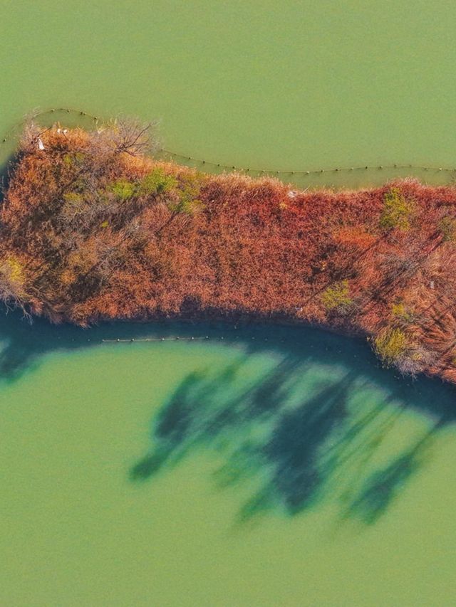 泗洪2天1夜|城東生態公園秋意濃! 泗洪2天1夜|城東生態公園秋意濃!