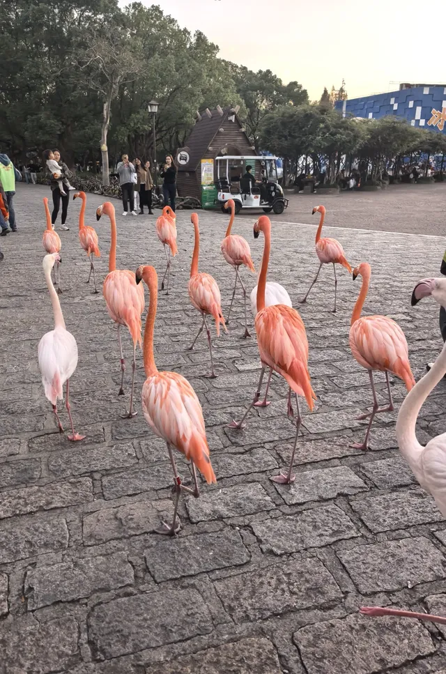 謝謝上野送的生日禮物~今天的快樂是免費哒 謝謝上野送的生日禮物~今天的快樂是免費哒